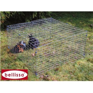 Enclos Petits Animaux...