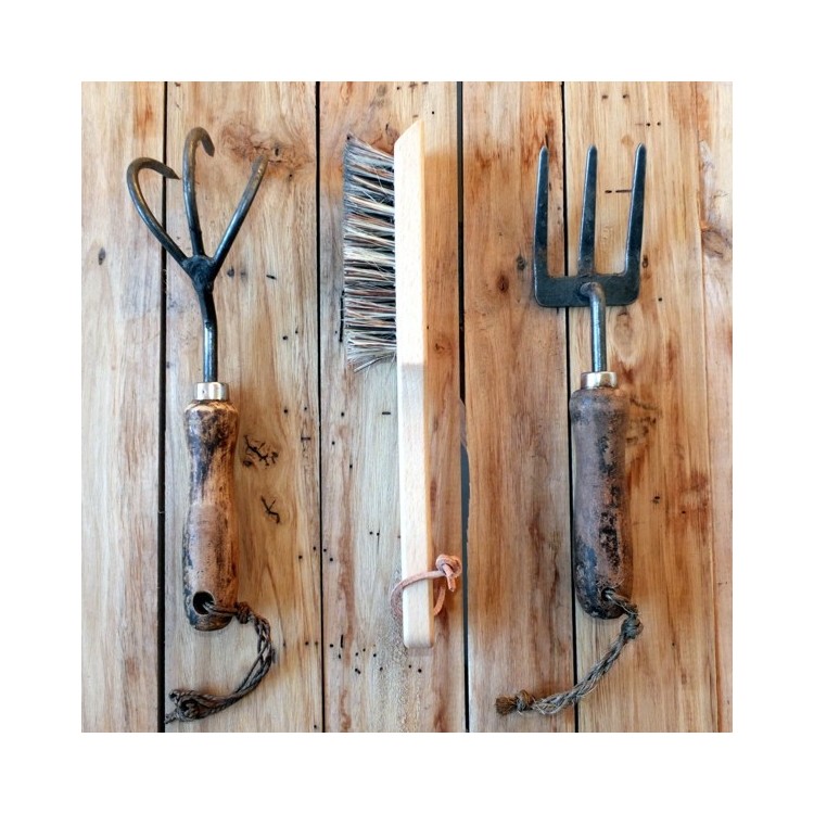 Brosse à Outils de Jardin