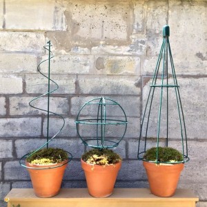 Supports Topiaires