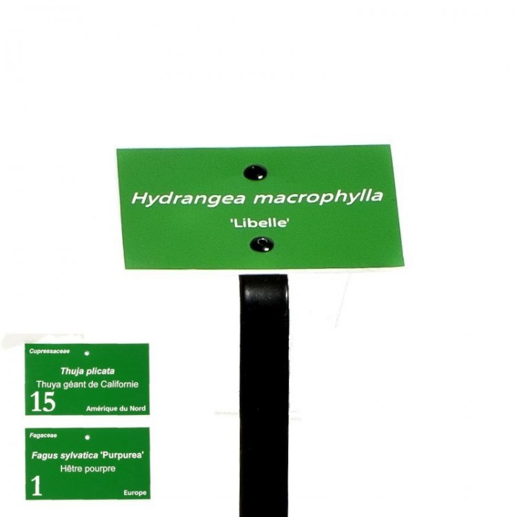 Etiquette botanique bi-couche gravée