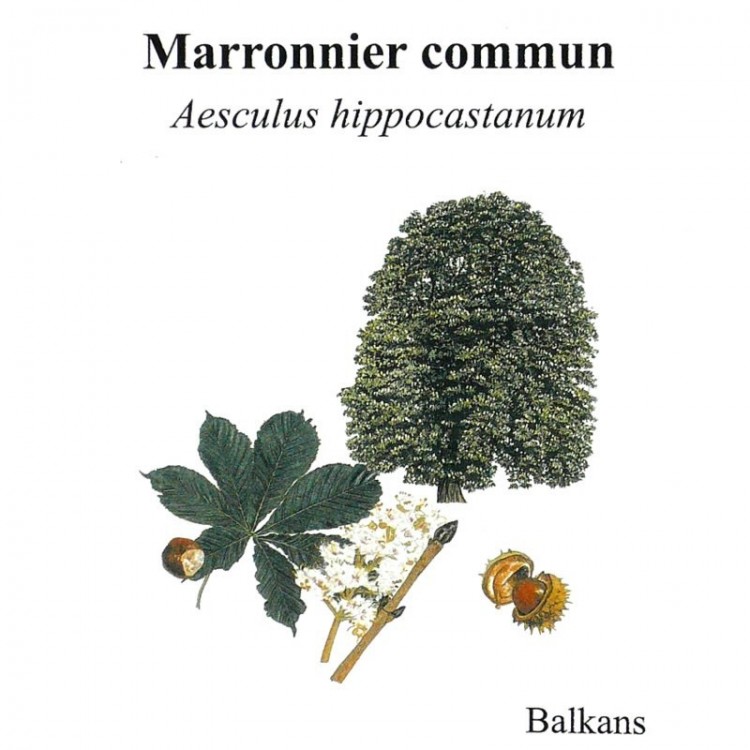 Panneau Aluminium Dibond