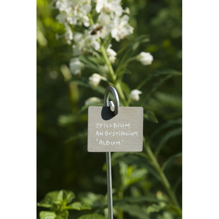 Etiquettes Zinc Mat Rectangle