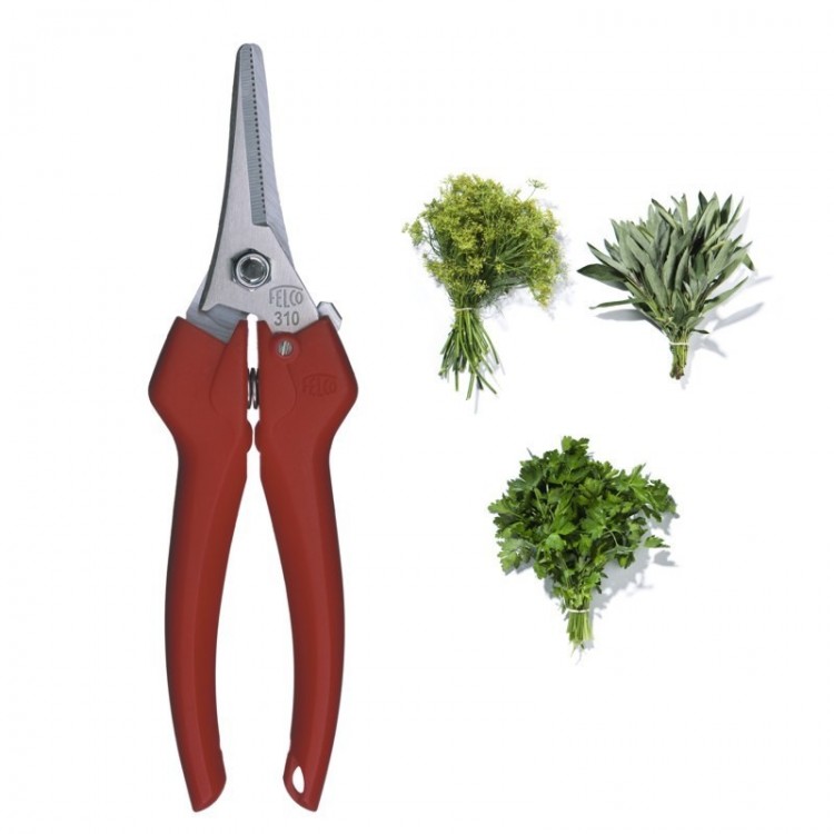 épinette, coupe fruits felco 310