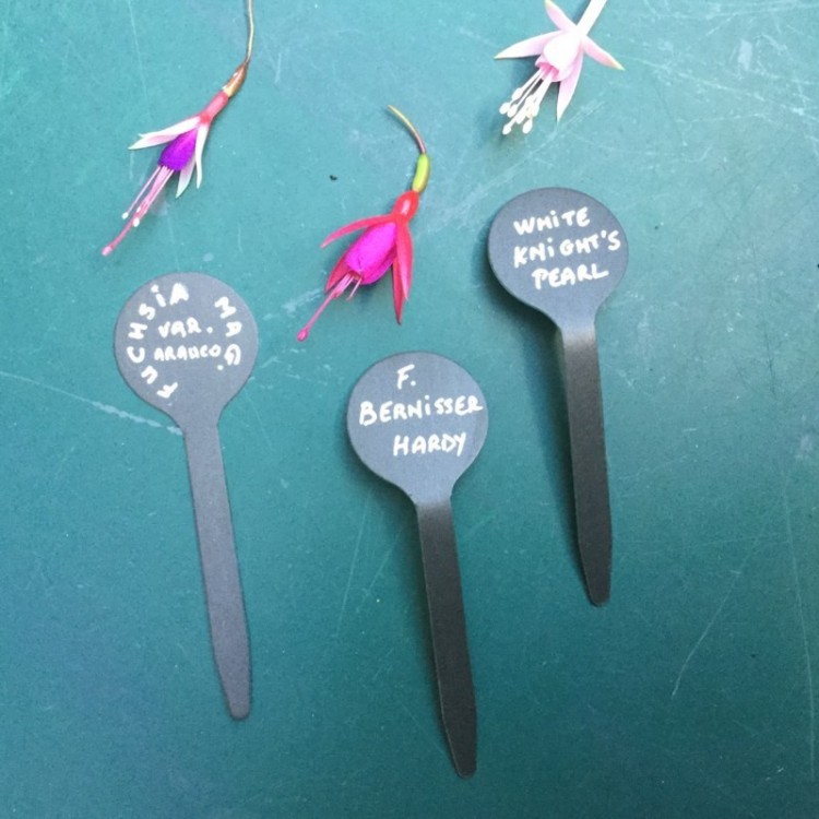 Etiquette en Zinc à Planter