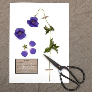 Etiquettes Papier Kraft... 2