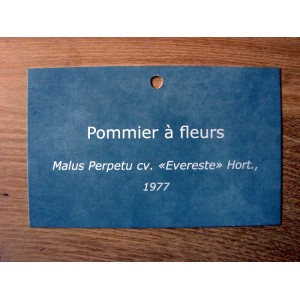 Etiquette Zinc Mat 2