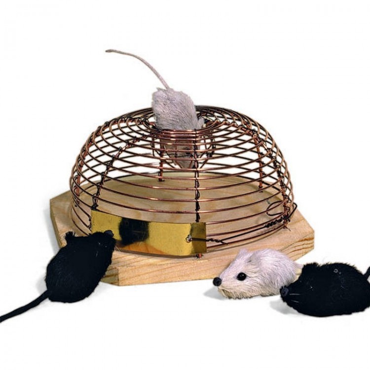 Piège à souris Optinum® - Piège à souris - 6 pièces - Piège à souris -  Extra fort 