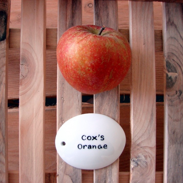 Etiquette en porcelaine 'Limoges'