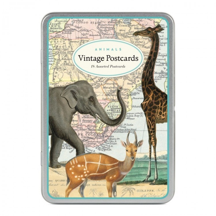 Cartes Postales Vintages Animaux Sauvages Botanique Editions Cartes Postales Vintages Animaux Sauvages Botanique Editions