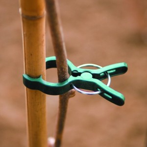 pince à plantes garden clip 2
