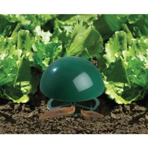 Piège à Escargots et à Limaces