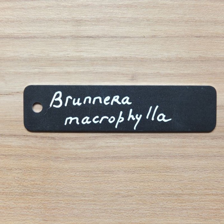 Etiquette Zinc & fil d'accroche Etiquette Zinc & fil d'accroche