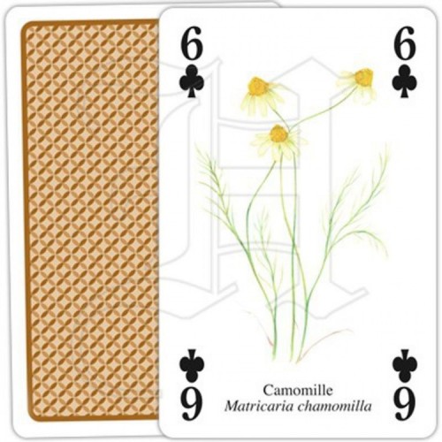 Jeu de Cartes Plantes Aromatiques & Médicinales