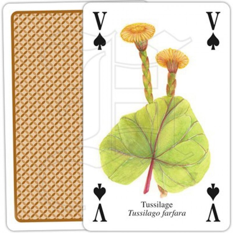 Jeu de Cartes Plantes Aromatiques & Médicinales