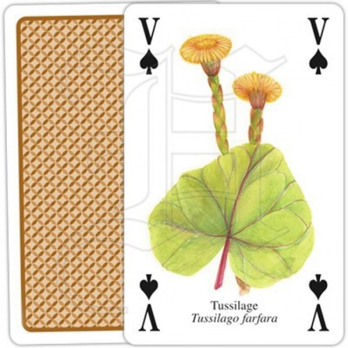 Jeu de Cartes Plantes Aromatiques & Médicinales