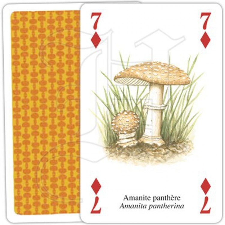 Jeu de Cartes Champignons Jeu de Cartes Champignons