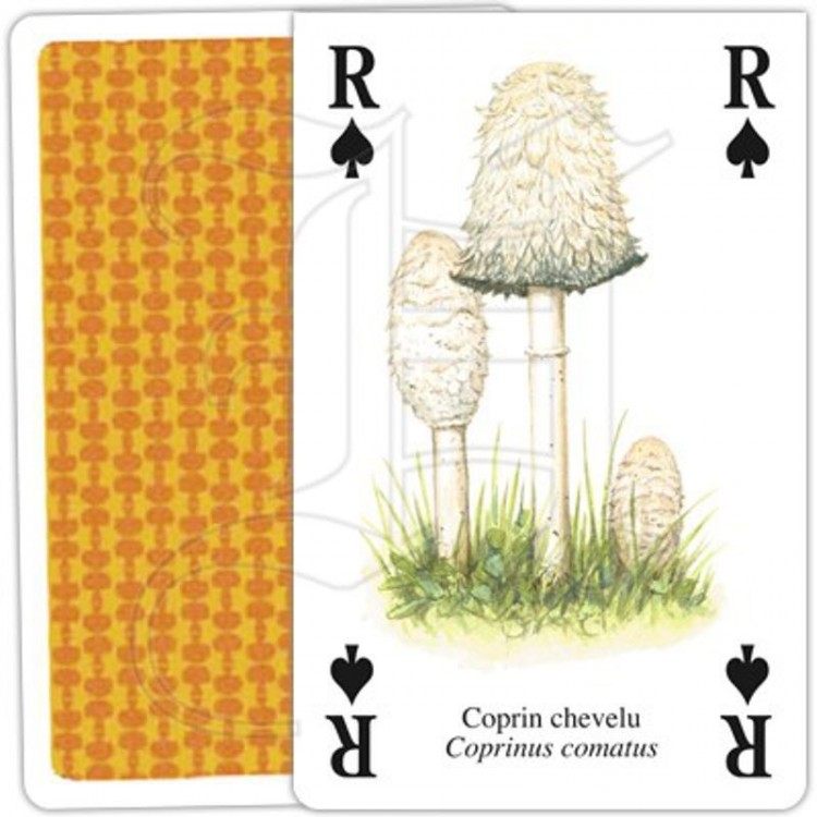 Jeu de Cartes Champignons Jeu de Cartes Champignons