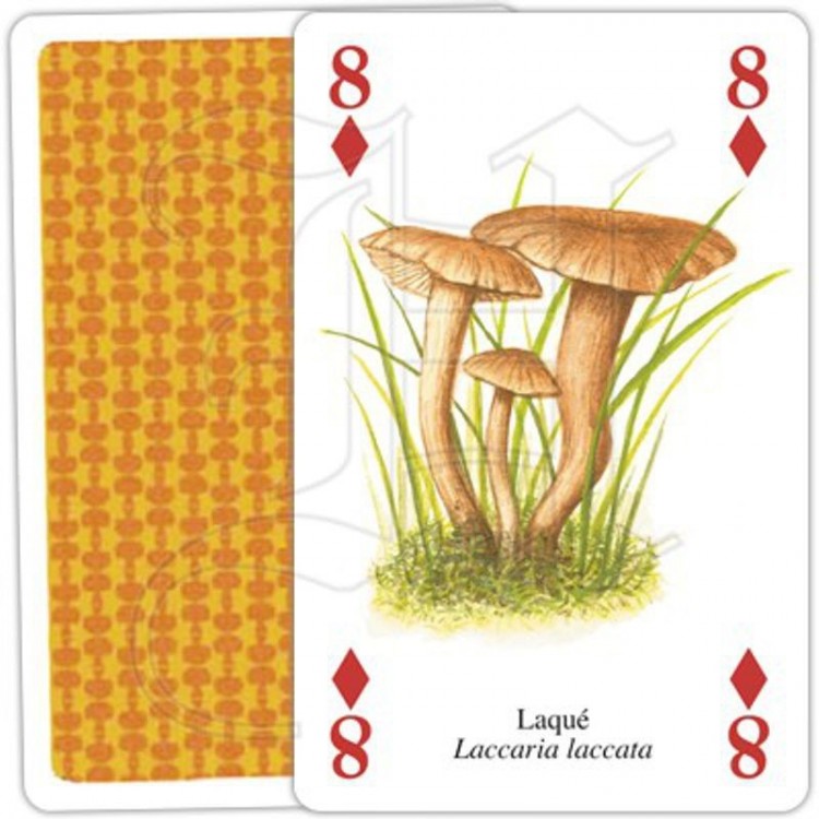 Jeu de Cartes Champignons Jeu de Cartes Champignons