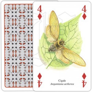 Jeu de Cartes Insectes &... 2