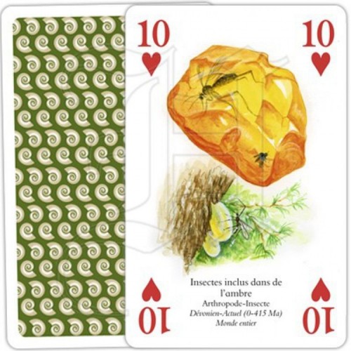 Jeu de Cartes Fossiles