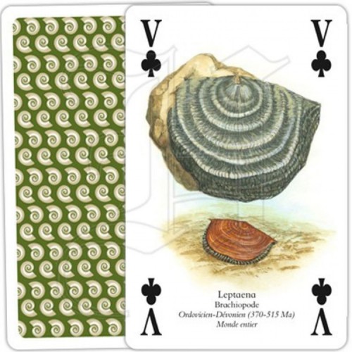 Jeu de Cartes Fossiles