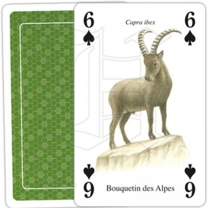 Jeu de Cartes Animaux de la... 2