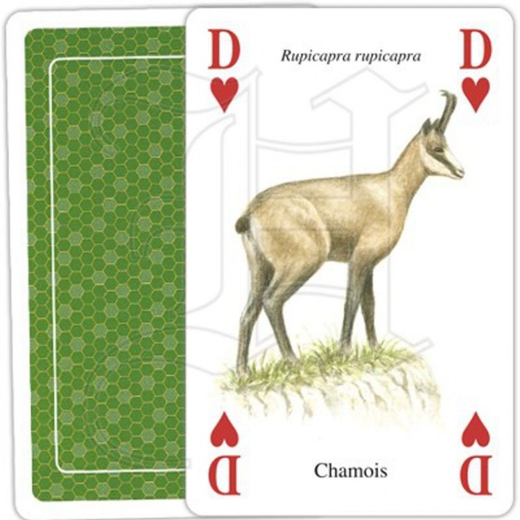 Jeu de Cartes Animaux de la Nature