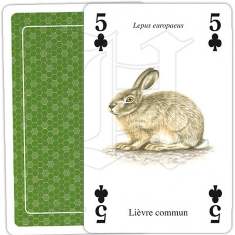 Jeu de Cartes Animaux de la Nature