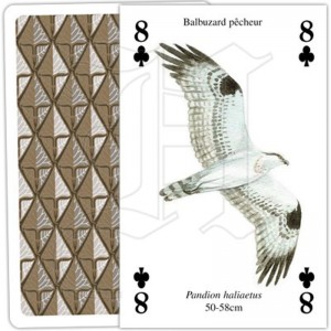 Jeu de Cartes Rapaces 2