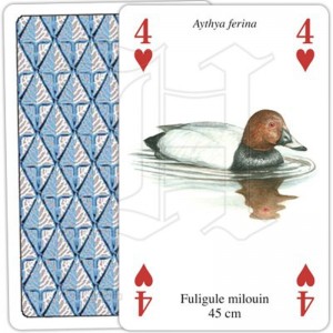 Jeu de Cartes Oiseaux Aquatiques 2