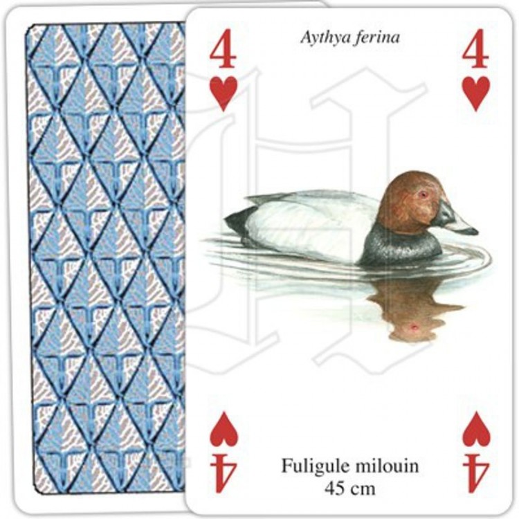 Jeu de Cartes Oiseaux Aquatiques