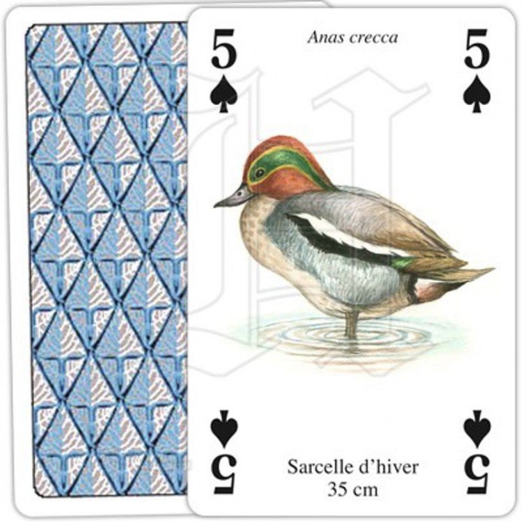 Jeu de Cartes Oiseaux Aquatiques
