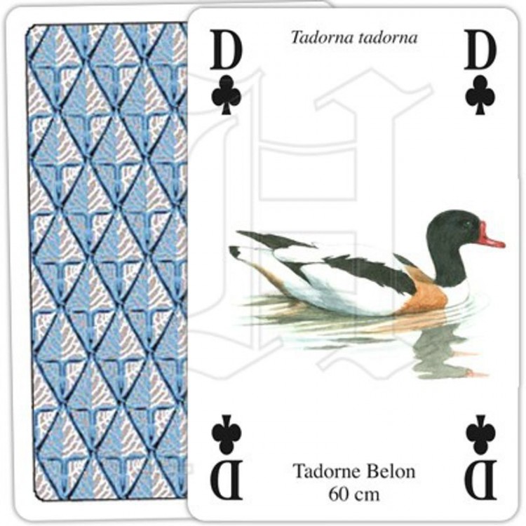 Jeu de Cartes Oiseaux Aquatiques
