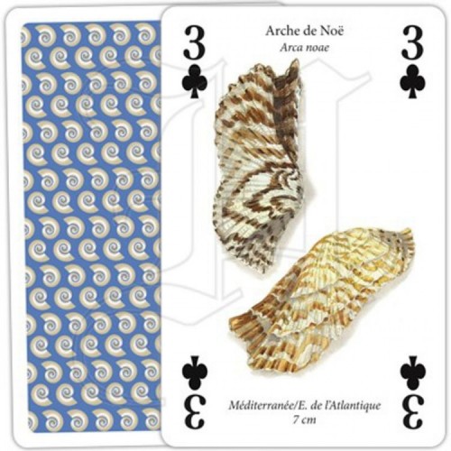 Jeu de Cartes Coquillages