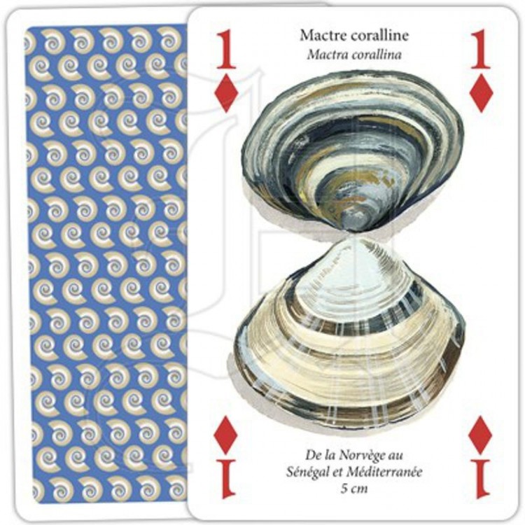 Jeu de Cartes Coquillages