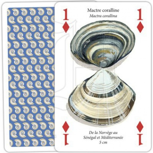 Jeu de Cartes Coquillages