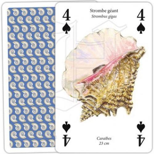 Jeu de Cartes Coquillages