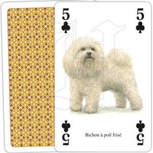 Jeu de Cartes Chiens du Monde 2