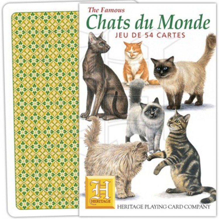 Jeu de 54 cartes illustrées