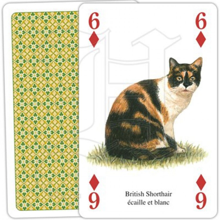 Jeu de Cartes Chats du Monde Jeu de Cartes Chats du Monde