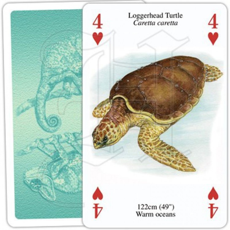 Jeu de Cartes Reptiles & Amphibiens Jeu de Cartes Reptiles & Amphibiens