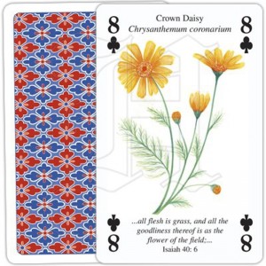 Jeu de Cartes Plants of the Bible 2