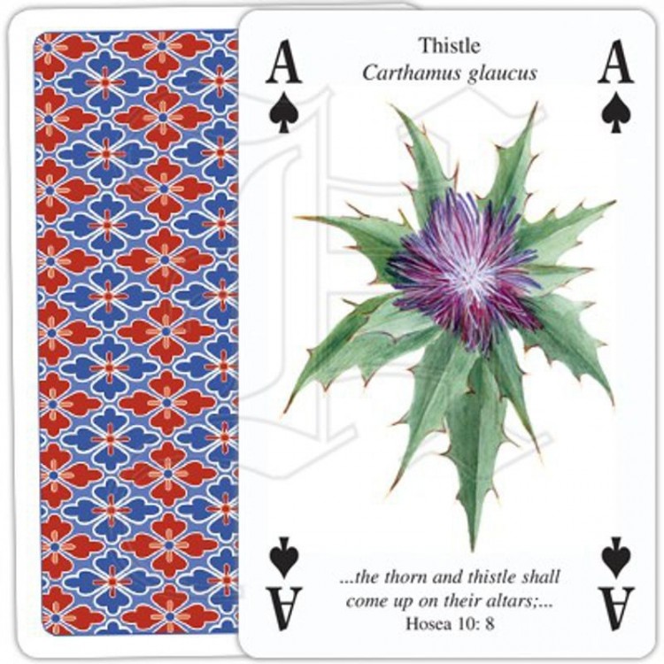 Jeu de Cartes Plants of the Bible