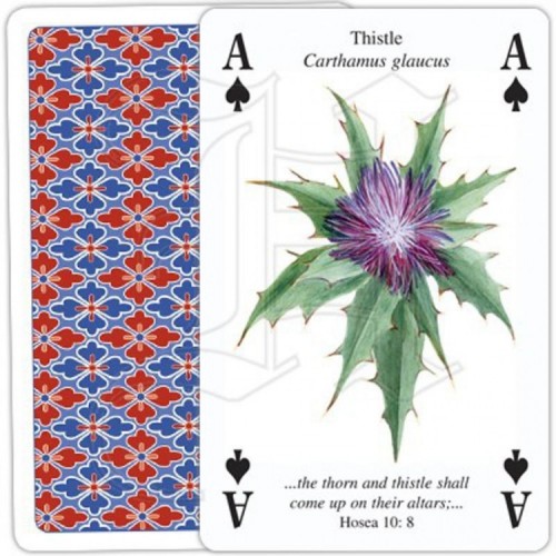 Jeu de Cartes Plants of the Bible