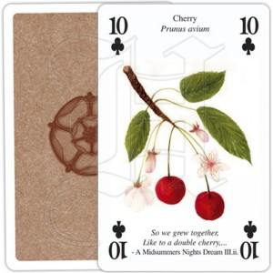 Jeu de Cartes Shakespeare's Flowers 2