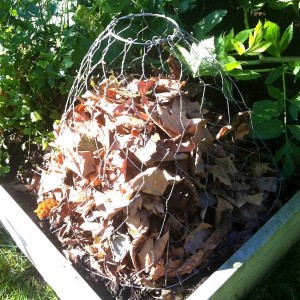 Cloche Grillage 2