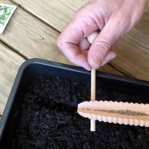 Semoir Compte-graines  Semoir Compte-graines