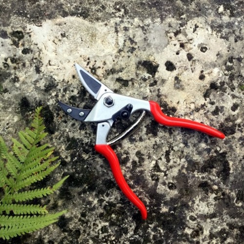 Sécateur à enclume Felco 32