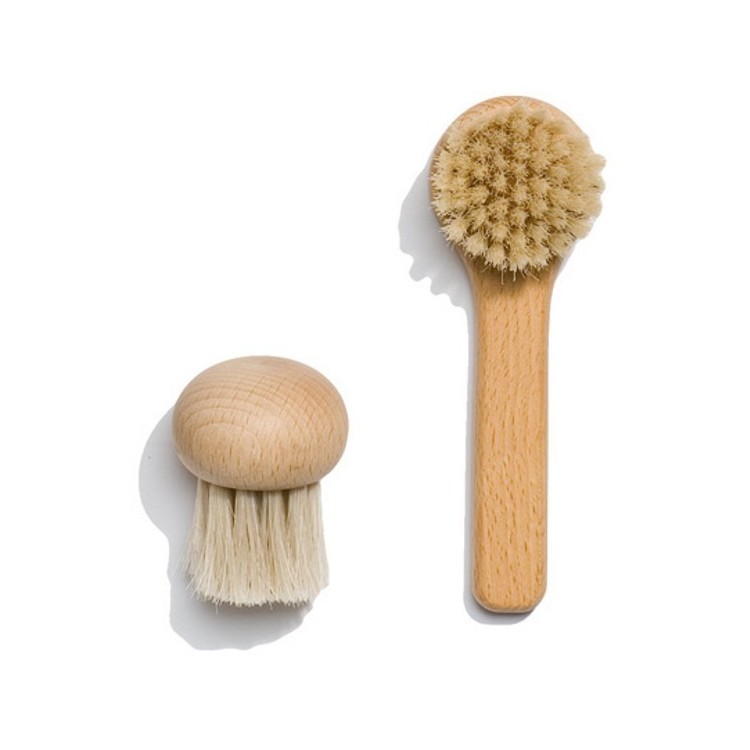 brosse à champignons