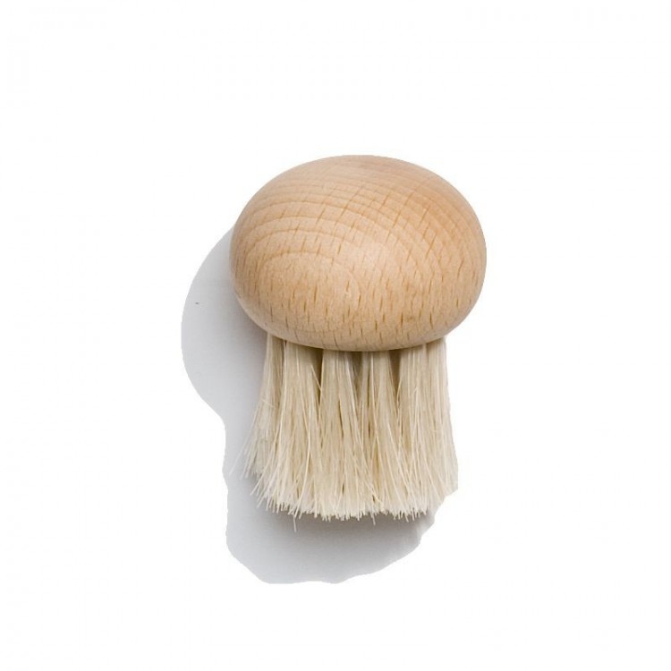 Brosse à Champignons